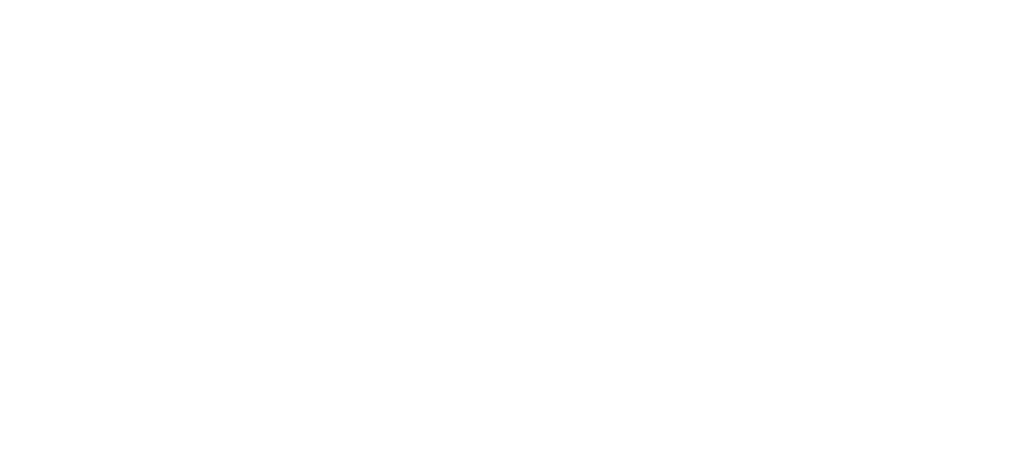 Mr. Borriello Professional Trainer